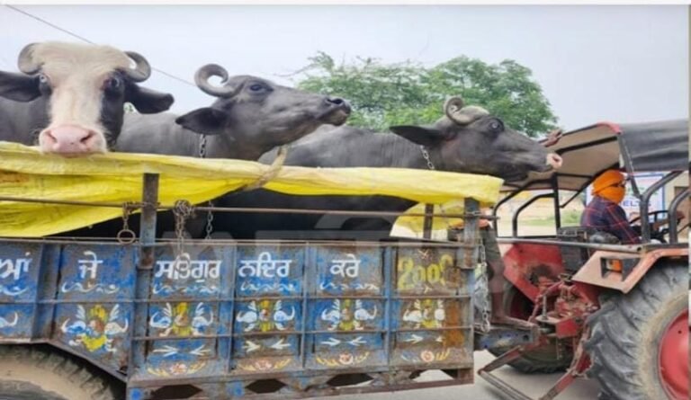 ਭਾਰਤ-ਪਾਕ ਜੰਗ ਦੇ ਮਾਹੌਲ ਕਾਰਨ ਸਰਹੱਦੀ ਪਿੰਡਾਂ ਦੇ ਲੋਕਾਂ ਵਿੱਚ ਤਨਾਅ, ਪਿੰਡਾਂ ਵਲੋਂ ਪਲਾਇਣ ਸ਼ੁਰੂ।