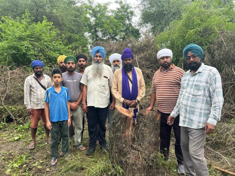 ਪਿੰਡ ਜੇਠੂਵਾਲ ਵਿਖੇ ਸਰਕਾਰ ਦੀ ਸਖਤ ਪਾਬੰਦੀਆਂ ਦੇ ਬਾਵਜੂਦ ਵੱਡੇ ਪੱਧਰ ਤੇ ਹੋ ਰਹੀ ਰੁੱਖਾਂ ਦੀ ਚੋਰੀ ਕਟਾਈ