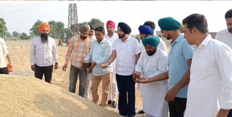 ਮੰਡੀਆਂ ’ਚ ਆੜ੍ਹਤੀਆਂ ਤੇ ਕਿਸਾਨਾਂ ਨੂੰ ਦਿੱਕਤ ਨਹੀਂ ਆਵੇਗੀ: ਚੇਅਰਮੈਨ 