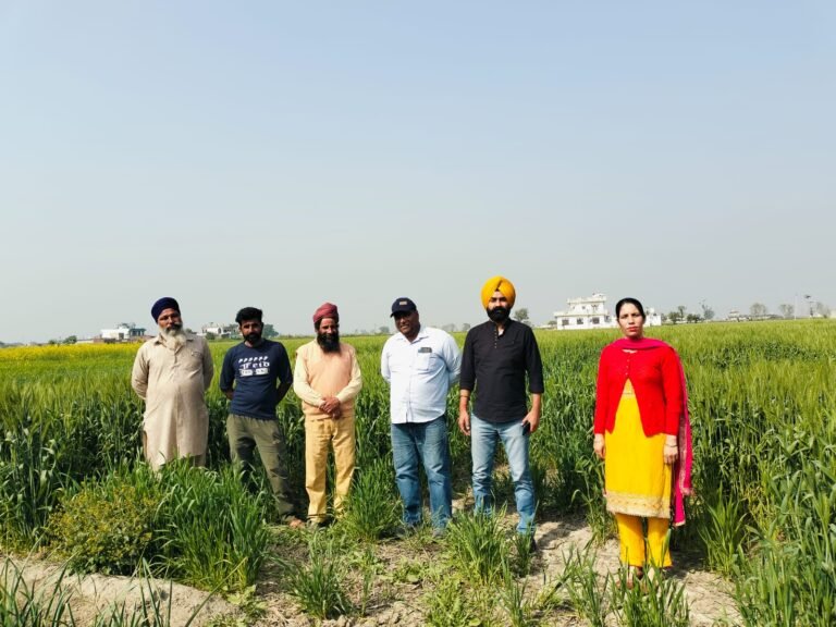 ਵੱਧ ਰਹੇ ਤਾਪਮਾਨ ਨੂੰ ਦੇਖਦੇ ਹੋਏ ਕਿਸਾਨ ਕਣਕ ਦੀ ਫ਼ਸਲ ਦੀ ਸਿੰਚਾਈ ਕਰਨ – ਡਾ ਤੇਜਬੀਰ ਭੰਗੂ
