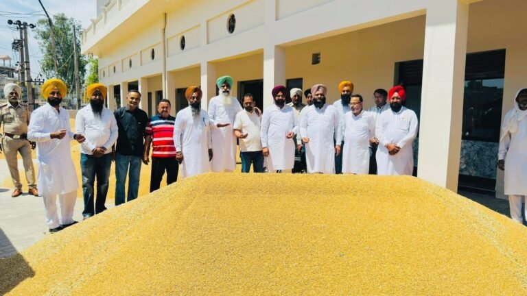 ਹਲਕਾ ਖੇਮਕਰਨ ਦੇ ਏਰੀਏ ਭਿੱਖੀਵਿੰਡ ਦਾਣਾ ਮੰਡੀ ਖਰੀਦ ਕੇਂਦਰ ਵਿਖੇ ਕਣਕ ਦੀ ਸਰਕਾਰੀ ਖਰੀਦ ਸ਼ੁਰੂ-ਚੇਅਰਮੈਨ ਲਾਖਣਾ